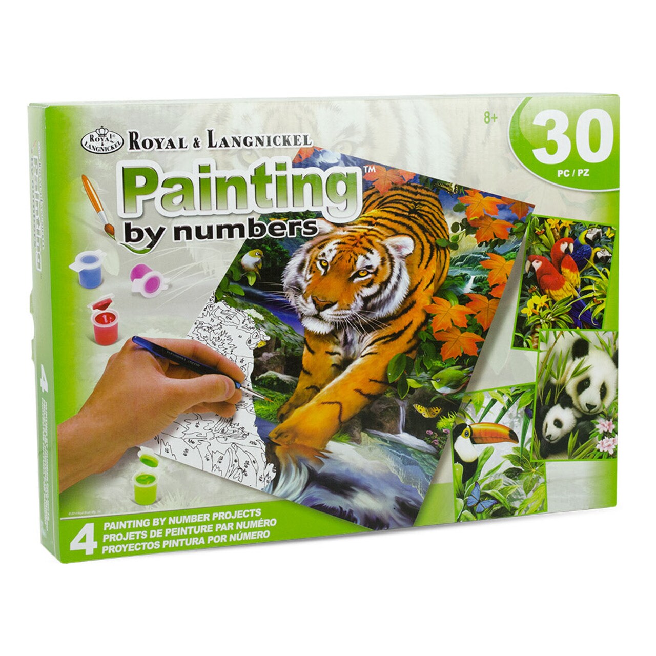 AVS-PBN209 | Painting by numbers™ 30pc 8" x 10" Jungle 4 Project Box Set